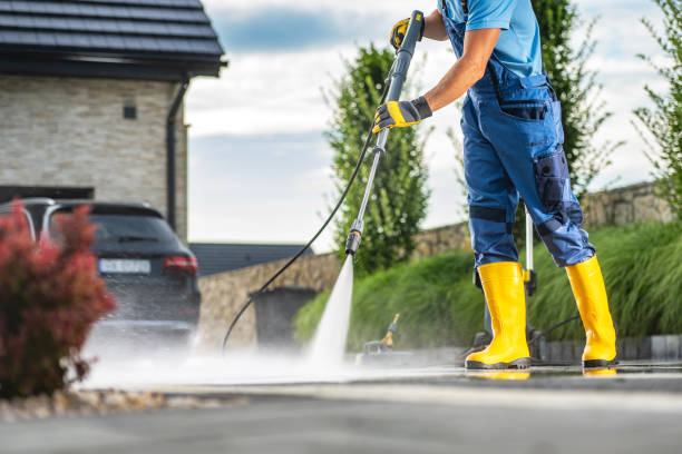 Best Fence Cleaning  in Two Harbors, MN